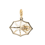 Cobweb Charm
