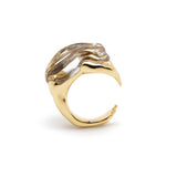 Medium Frog Ring Abalone