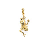 Frog Charm