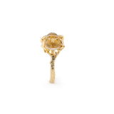 Frog Tiger Eye Ring in 18K Gold made with Brown Diamonds, Rock Crystal and Tiger Eye front view