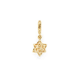 Star Charm