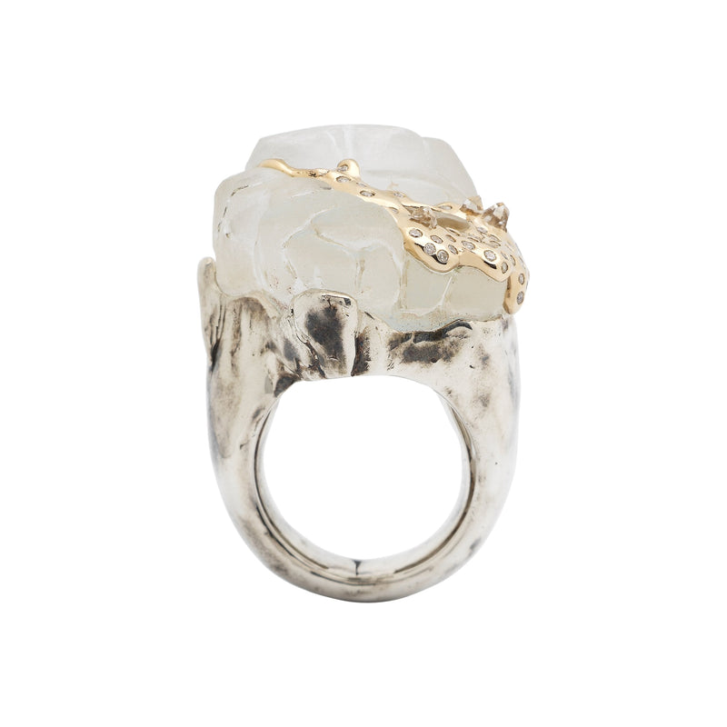 Melting Ice Cap Ring Rings Bibi van der Velden